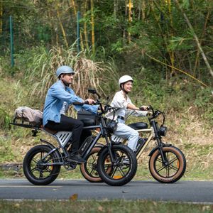 JANSNO X70 Adult E-Bike – Dual Battery, 120 Mile Range, 20x4.0 All-Terrain Tires