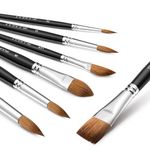 Sable Watercolor Brushes Professional, Fuumuui 7Pcs Kolinsky Sable Brush Variety Shapes with Round Pointed, Dagger Striper, Flat, Cat's Tongue Oval Wash for Watercolor Acrylic Gouache Inks Painting