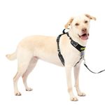 PetSafe Easy Walk Comfort No-Pull Dog Harness Full-Body Padding - Better Walks on The First Use - 5 Points of Adjustment Large, Black