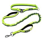 Mighty Paw Hands Free Bungee Leash 