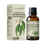 Aromahpure Fragrance Oil | 15 ml | Eucalyptus Aroma Oil for Home Fragrance | Best for Aromatherapy | Helps in Meditation | Used in Diffusers, Candles, Air Fresheners, Soaps, IFRA Certified