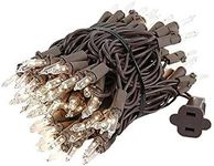 Novelty Lights Clear Incandescent Christmas String Lights - UL Listed Indoor/Outdoor Light Set w/ 100 Mini Bulbs for Christmas Tree, Patio, Wedding Decor, and More - (Green Wire, 22' Long)