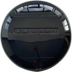 Spare Tire Cover for Defender, Spar