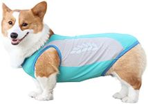 Dog Cooling Vest Breathable Dog Cooling Shirts Soft Summer Dog Shirts for Puppy Small Medium Large Dogs (9XL, Blue)