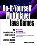 Do-It-Yourself Multiplayer Java Games: An Introduction to Java Sockets and Internet-Based Games (Do-It-Yourself Java Games)