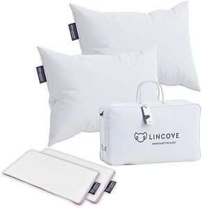 Lincove Re