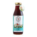 THE HONEY SHOP – Raw Organic Forest Honey, Wild, Unprocessed, Unheated, Non Pasteurized, Original Honey 100% pure and Natural, Collected From Deep Forest Apis Dorsata (700g) - Pack of 1