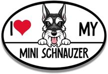 Magnet Me Up I Love My Mini Schnauzer Dog Breed Car Magnet and Decals, 4x6 Inches Oval, Dog Decals for Cars, Cute Accessory for Mini Schnauzer Owners, Peeking Dog Bumper Magnet, Crafted in USA