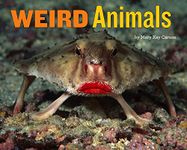 Weird Animals