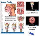 Vocal Parts, Pharynx & Larynx Anatomical Chart with Software Larynx and Vocal Fold ID Speech Language Pathology, SLP, Singing