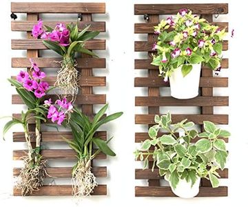 Wall Planter - Wooden air Plant Holder for Indoor and Outdoor Plants. Used as Hanging Vertical Garden Planter. Create own Garden Decor, Teen Girl Room Decor, Bathroom Decor, decoración para baños