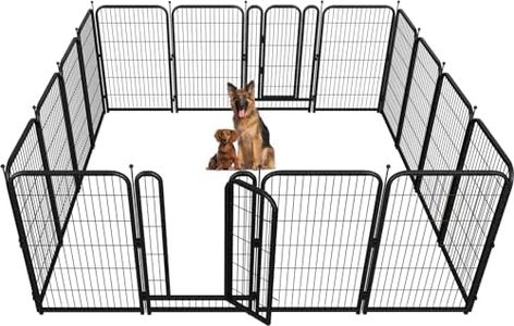 Petorldog