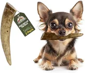 Heartland Deer Antlers for Dogs - Grade A, Naturally Shed Antlers | Dog Bones for Aggressive Chewers & Teething Puppies | Chew Toy for All Breeds | USA Made & Veteran Owned (Small: 4-5 Deer 2-Pack)