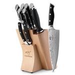 Damascus Kitchen Knife Set 9pcs,Chef Knives Set 67 Layers VG10 Damascus Steel, Japanese Professional Kitchen Sharp Knife Set with Beechwood Knife Block