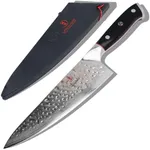 Dalstrong Professional Chef Knife -