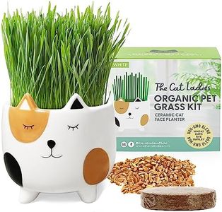 The Cat Ladies Cat Grass for Indoor Cats, Cat Grass Growing Kit with Organic Cat Grass Seed Mix, Soil and Ceramic Cat Planter, Pet Grass for Cats, Natural Hairball Remedy, Cat Gifts