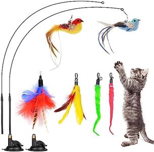 Oziral Cat