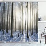 ABAKUHAUS Woodland Shower Curtain, Wintertime Forest on a December Morning Snowy Sunshine Shadows Trunk, Cloth Fabric Bathroom Decor Set with Hooks, 78 Inches, Pale Yellow Bluegrey