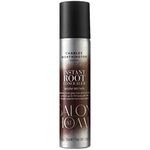 Charles Worthington Instant root concealer spray - Warm Brown