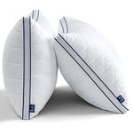 BedStory Pillows Queen Size 2 Pack, Hotel Bed Pillows for Neck Pain, Hypoallergenic Pillows, Oreiller Lit Queen, Down Alternative Pillows for Side Sleeper, Back, Stomach Sleeper