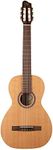Godin 049738 Motif Nylon String Cla