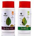 Utkarsh Combi-2 (EDTA Chelated Mix Micronutrient) - 250 gm | Utkarsh FeGro (Iron- Fe-12% EDTA Chelated) - 250 gm | 100% Water Soluble Foliar Spray, EDTA Chelated Fertilizers (Combo of 2)