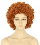 VGbeaty Women Short Curly Reddish Orange Rocker Afro Fluffy Wig Heat Resistant Cosplay Party Halloween Costume Wig