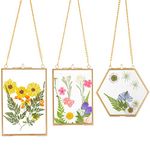 3 Packs Pressed Flowers Glass Frames- Golden Hanging Glass Picture Frames with Chain Floating DIY Artwork Display Frames in 3 Sizes for Dried Plant Specimen Kids Art Photo Display Gallery Wall Decor