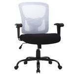 FDW Ergonomic Desk Chair Office Chair Computer Chair 500lbs with Lumbar Support Wide Seat Adjust Arms Rolling Swivel High Back Task Executive Ergonomic Big and Tall Office Chair for Home Office