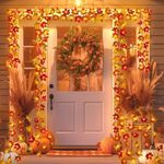 Runleo 4 Pack Fall Decorations Maple Leaf Lights Garland, Total 40Ft 80LED Lights Battery Operated Fall Leaves Garland with Lights Autumn Harvest Lights String Home Indoor Outdoor Thanksgiving Decor