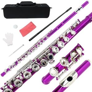 YoungMonic C Flutes Closed Hole 16 Keys Flute for Beginner Student Pink Nickel Flute Instrument with Cleaning Kit Carrying Case Gloves Tuning Rod (02)