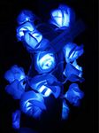 Fantasee LED Rose Flower String Lights Battery Operated, Fairy Starry Lights for Wedding Home Party Birthday Festival Indoor Outdoor Decorations, 20 LED (Blue)