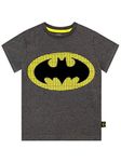 DC Comics Boys' Batman T-Shirt Grey Size 8