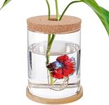 Betta Fish Tank - Mini Bowls for Beta Fish, Aquaponic Fish Tank Clear Hydroponic Plant Terrarium for Promoted Ecosphere Aquatic Ecosystem - 4.7" x 6.7" Straight-Shaped