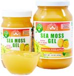 EverSmith Organics - Wildcrafted Irish Sea Moss Gel | Made in USA | Rich in Vitamins & Minerals | Sea Moss Gel Organic Raw | Nutritional Health Supplement (Mango Pineapple, 16 oz)