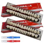 Dental Denture Materials