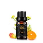 Forest Essential Oil for Diffuser, Aromatherapy Forest Essential Oil Blends for Humidifier, 100% Pure Therapeutic Grade Citronella, Basil, Peppermint, Geranium Essential Oil Blends 10ml