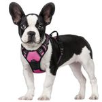 rabbitgoo Dog Harness, No-Pull Pet Harness with 2 Leash Clips, Adjustable Soft Padded Dog Vest, Reflective No-Choke Pet Oxford Vest with Easy Control Handle for Small Dogs,Hot Pink, S