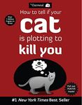 How to Tell If Your Cat Is Plotting