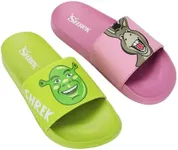 Bioworld Shrek & Donkey Men's Green & Pink Slide Sandals -Large