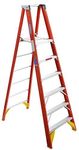 Werner P6206 300-Pound Duty Rating Fiberglass Platform Ladder, 6-Foot