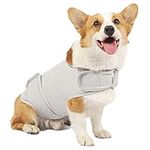 HCHYEY Dog Anxiety Jacket, Skin-Friendly Dog Calming Shirt - Dog Coat for Thunder, Fireworks and Separation - Keep Pet Calm Without Medicine & Training, Anti Anxiety Vest for Dogs (Light Grey, XL)