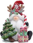 Hodao Christmas Gnome Decor Winter Table Swedish Tomte Elf Dwarf Figurines Decor Indoor Home Decorations Resin