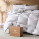 Pacific Coast Queen Comforter, Whit