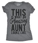 Womens This is What an Amazing Aunt Looks Like T Shirt Funny Family Tee for Ladies Funny Womens T Shirts Funny Aunt T Shirt Women's Novelty T Shirts Dark Grey XL