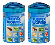 Tubifex Worms