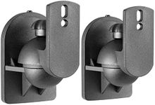 AV:LINK Universal Adjustable Speake