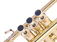 HEAVY Trumpet custom finger buttons for all Yamha (All YTR), Stomvi, Shagerl, Carol Brass and Fides Trumpets, Yamaha flugelhorn 631/731, Yamaha cornet models (Raw Brass, Nuummite)