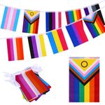 Pride Rainbow Bunting, 30 Rectangle UV Fade Resistant Fabric Flags for Celebration, 10M/32.8FT Progress Trans Lesbian Bisexual Pansexual Banner for Garden Outdoor Indoor Decorations