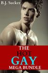 The HOT Gay Mega Bundle (15+ M/M Romances)